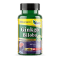 AMS GINKGO BILOBA CAPSULES 60S - Med7 Online