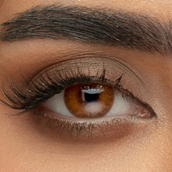 Sama Contact Lenses Monthly Arabica