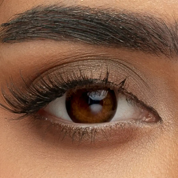 Sama Contact Lenses Monthly Autumn