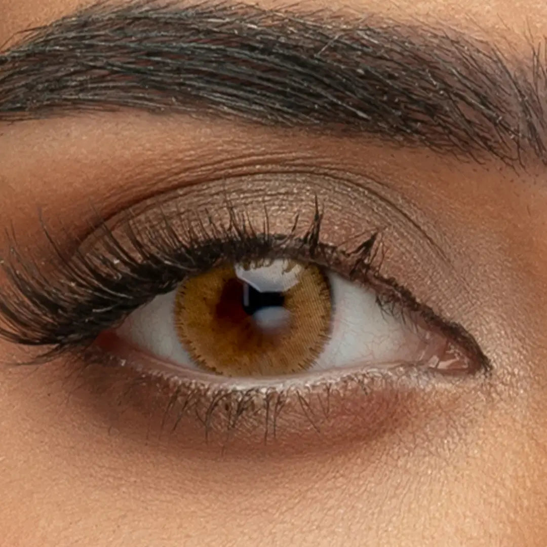 Sama Contact Lenses Monthly Walnut packaging front view