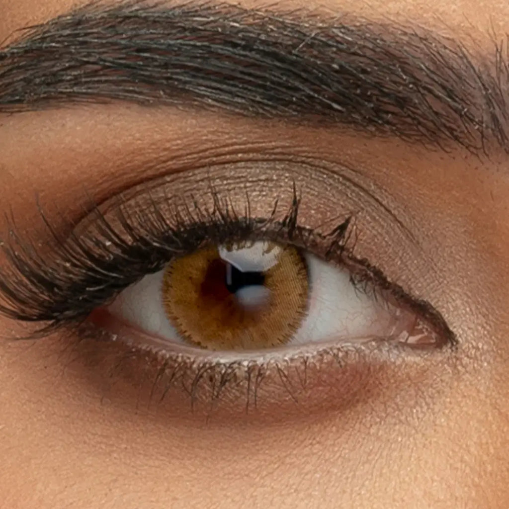 Sama Contact Lenses Monthly Walnut packaging front view